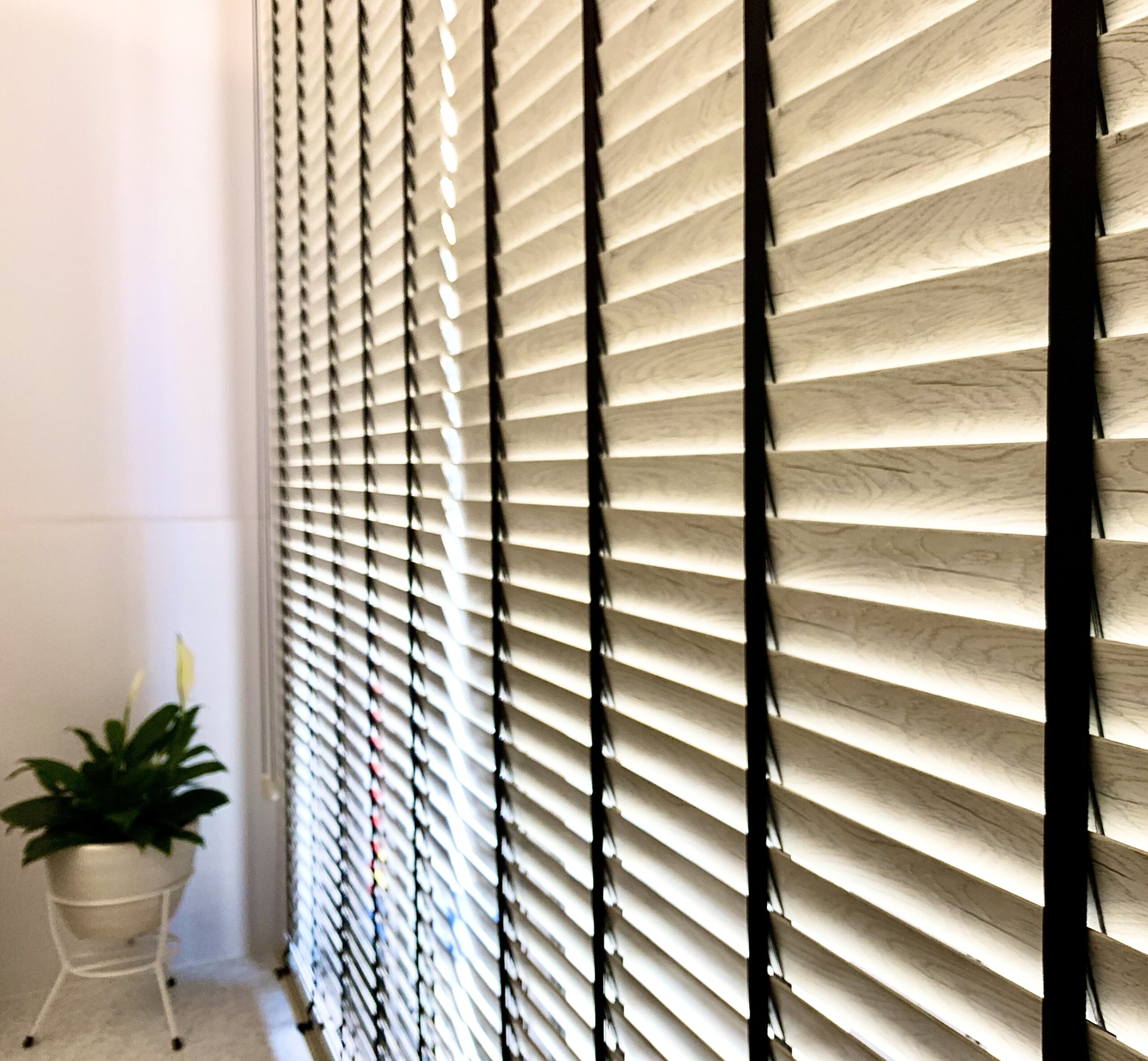 Venetian-Blind-Portrait-Image2